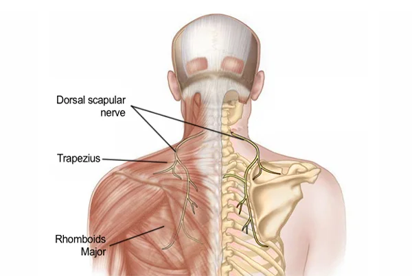Rectitude Wellness Physiotherapy